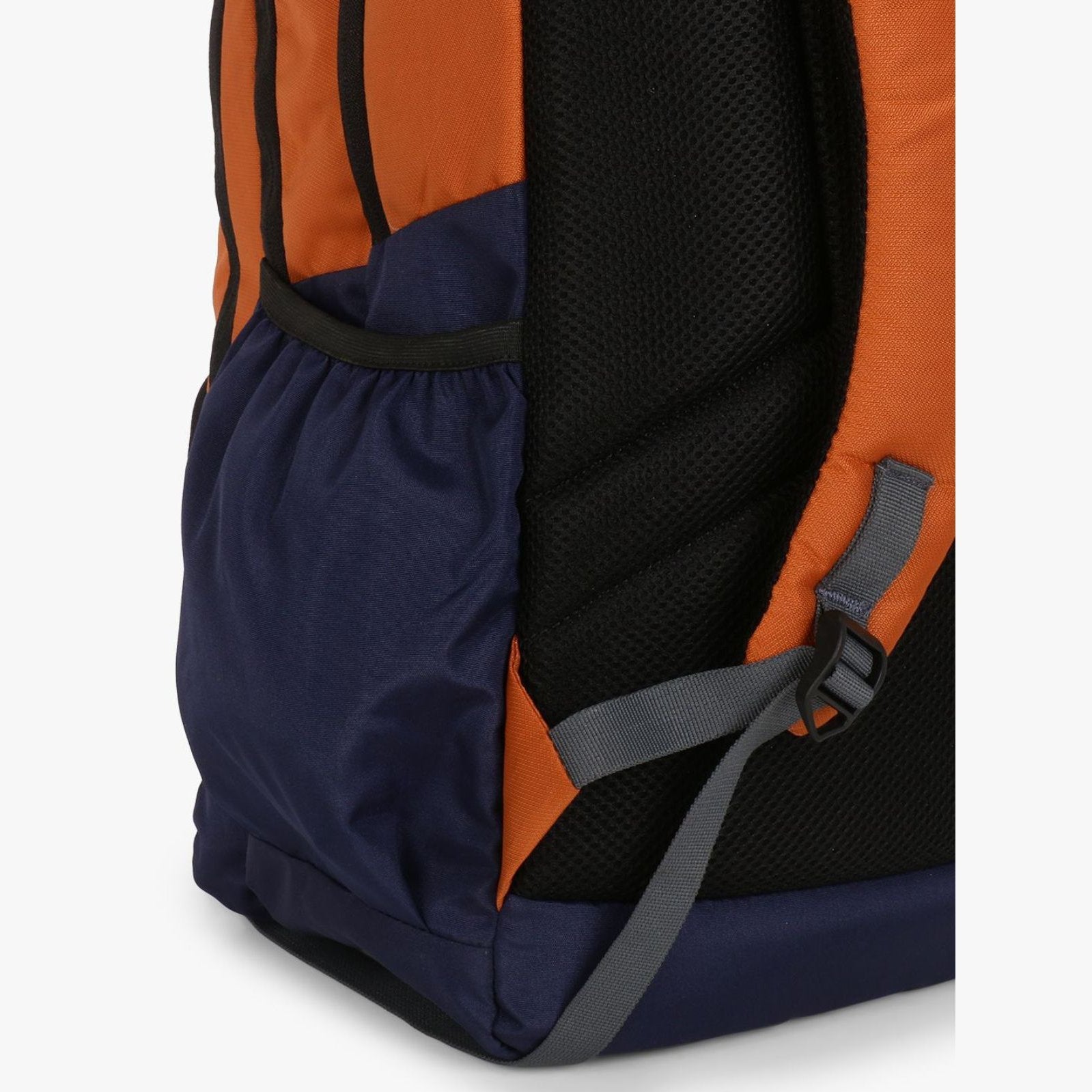 Dv Pro 4.21 Orange DE VAGABOND
