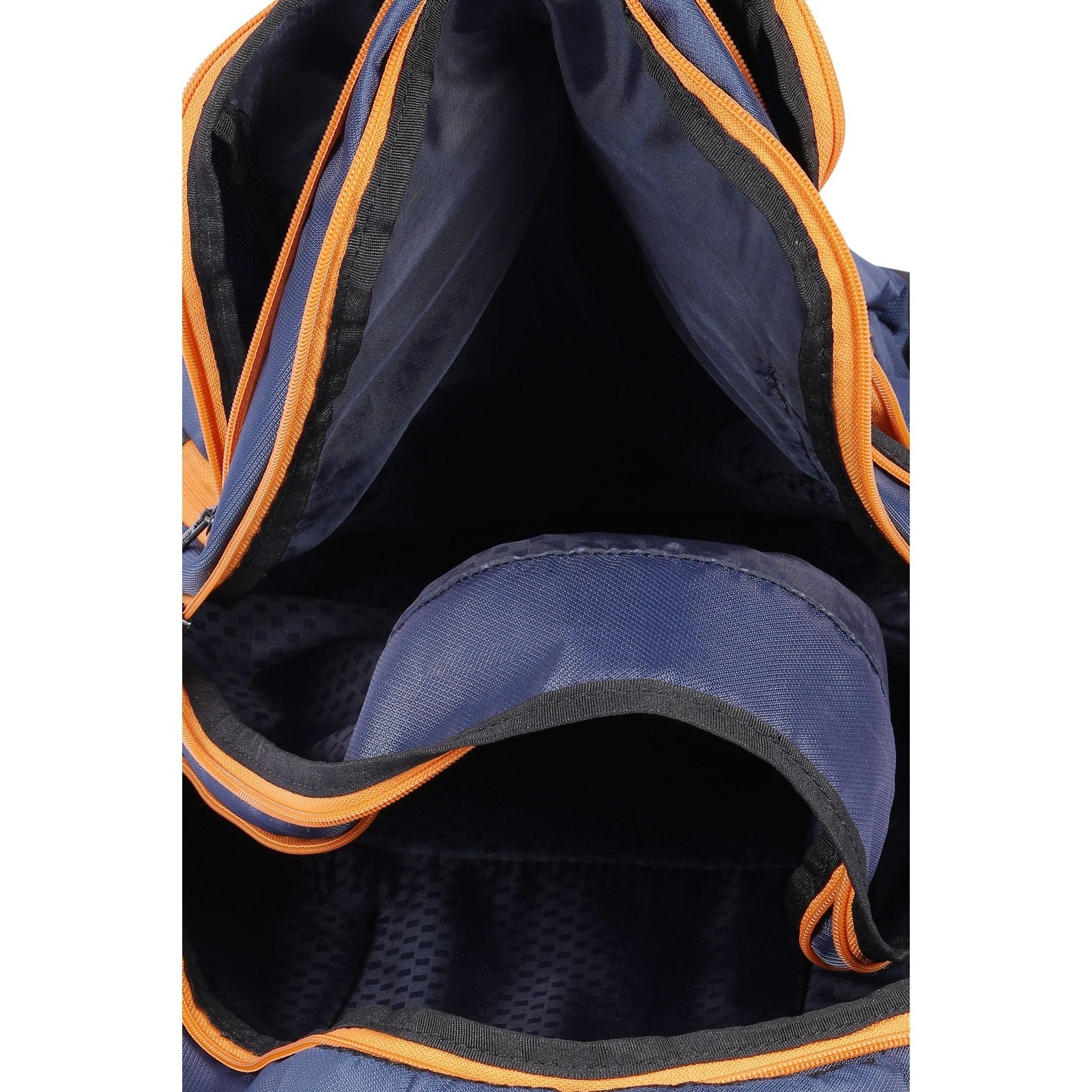 DV Pro 4.21 Blue DE VAGABOND
