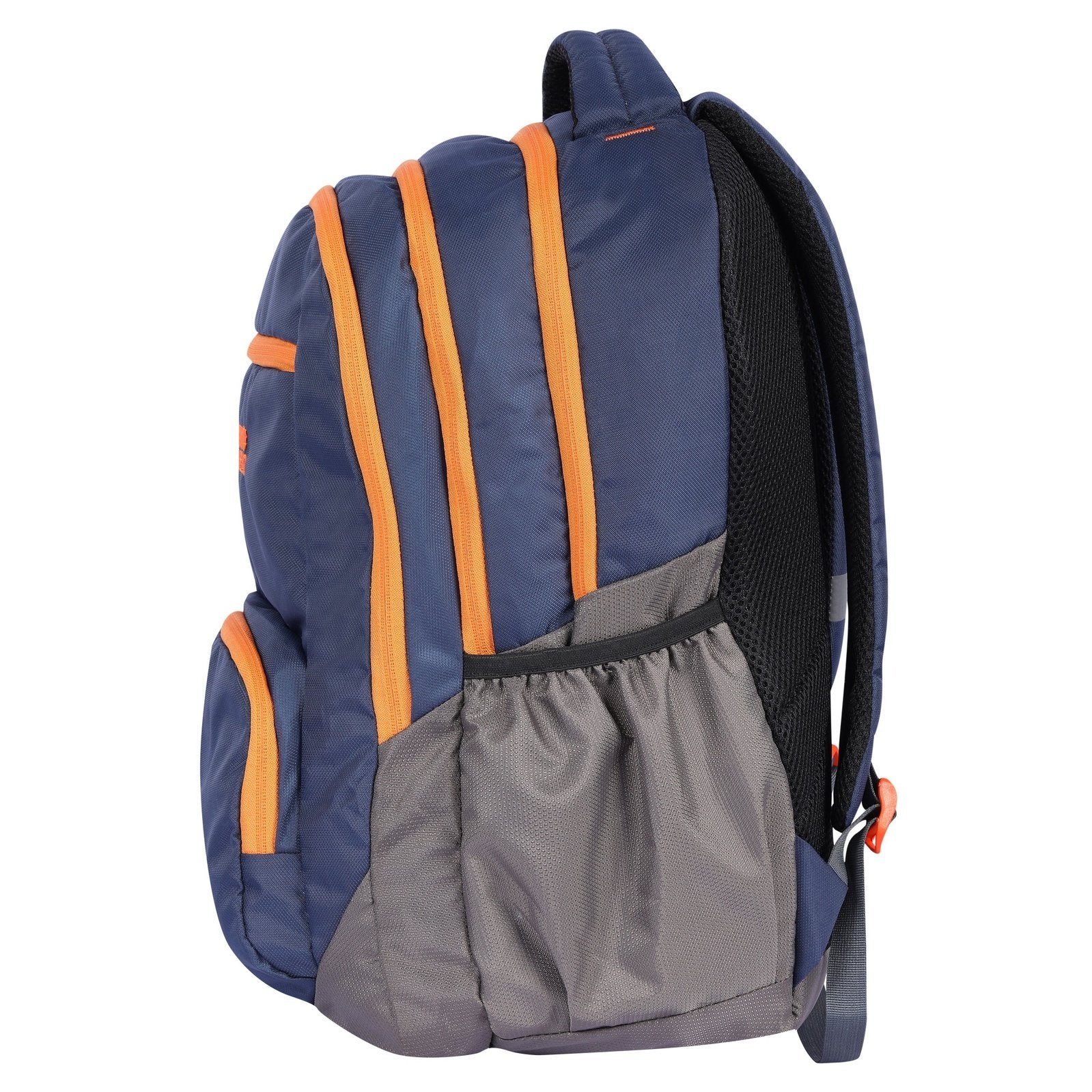 DV Pro 4.21 Blue DE VAGABOND