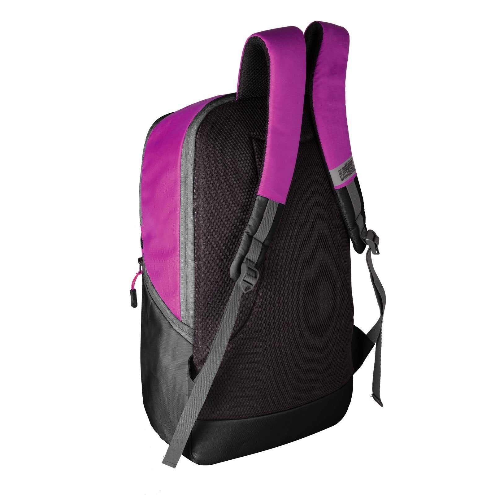 Phinix Purple DE VAGABOND