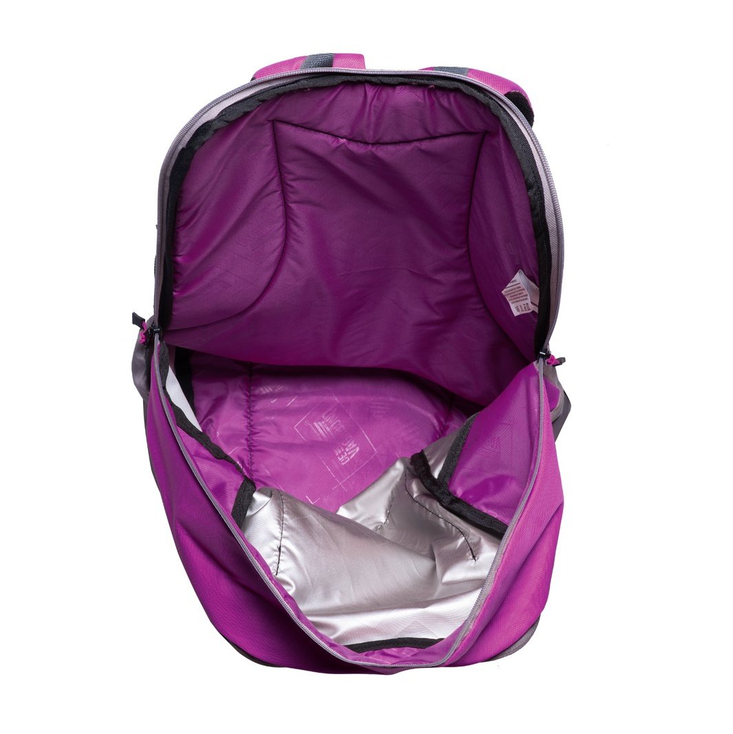 Phinix Purple DE VAGABOND